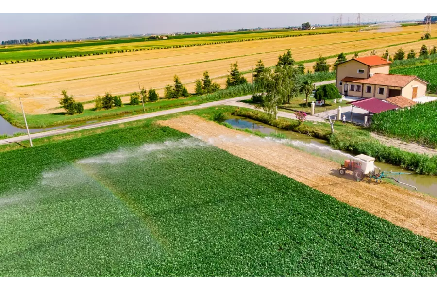 Итальянское сельское хозяйство стало лидером по добавленной стоимости в Европе