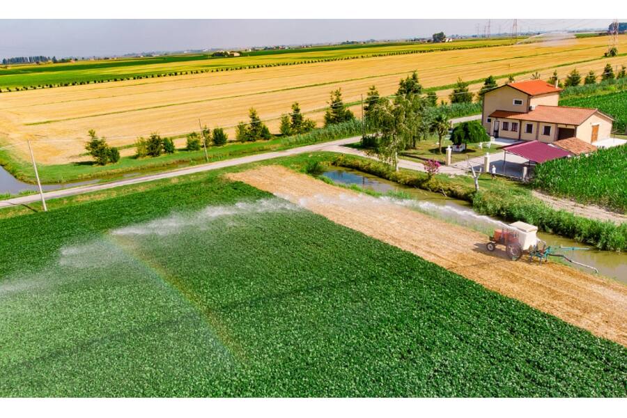 Итальянское сельское хозяйство стало лидером по добавленной стоимости в Европе